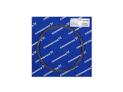 Grundfos SHIELD - GASKET D170/D160X0,5 bulk quantity 96603670
