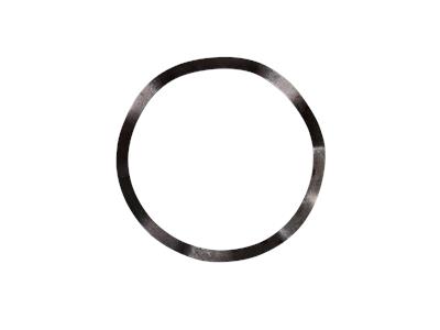 Grundfos SHAFTED SPRING XZM Component 96764562