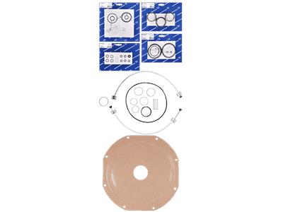 Grundfos kit, maintenance Cl2/145/200kg/h/FKM/&gt;Jan04 kit 96688763