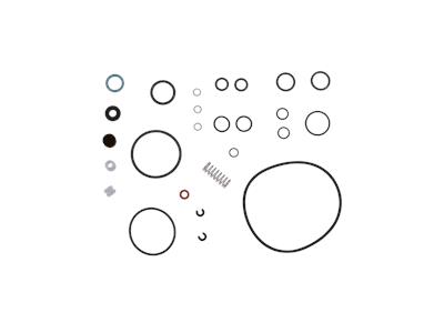 Grundfos kit, maintenance Cl2/103-100/FKM/TFM1700 kit 96688961