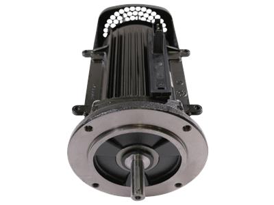 Grundfos Kit MGE90SC/MLE90C 430/460-2 1,5kW/2HP Composant 99259927