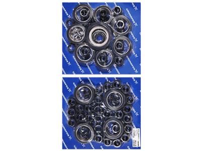 Grundfos Satz, Reparatur SP30/N,NS,R Bausatz 96440246