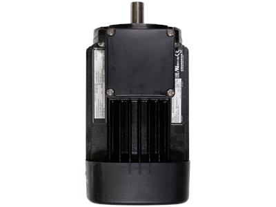 Grundfos ML080BA 220-277D/380-480Y 60HZ Bauteil 85904390