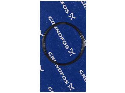 Grundfos JOINT TORIQUE 65X3 composant 97904663