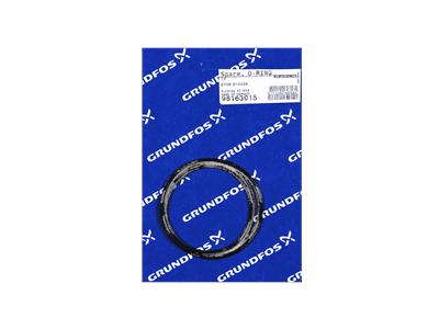 Grundfos replacement, O-RING EPDM D154X4 component 98163015